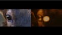 create professional vfx composition for your videos