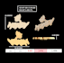 jewelry cad designs z