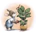 children book illustration and children book illustration