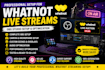 create a professional whatnot live streaming setup