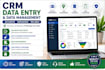 do CRM data entry, data cleaning and excel