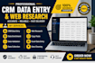 do CRM data entry, web research, data enrichment and copy paste