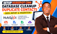 setup hubspot CRM database cleanup duplicate contacts data import migration