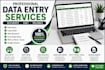 do accurate data entry copy paste web research and excel data entry