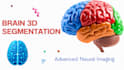 create research grade brain ct mri dicom 3d segmentation and models