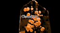 create films for sustainable brands