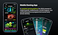 develop a custom native mobile application
