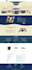 create a stunning wordpress showcase website for your business