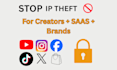 do IP protection, copyright, trademark and dmca takedown