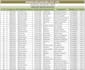 do accurate  excel data entry, PDF to excel, copy paste