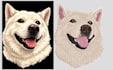 do your cat, dog, pet convert into embroidery