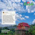 create eye catching restaurant menu flyer