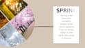 design professional infographic posters in canva