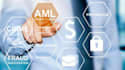 write aml policy, kyc compliance and due diligence documents