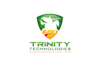 create a professional IT company logo design