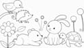 create KDP coloring book pages for amazon kdp book
