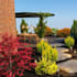 design your garden and outdoor space