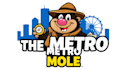make unique metro mole logo with unlimited revisions
