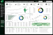 clean and organize large excel datasets with accuracy
