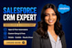 be your salesforce admin salesforce consultant salesforce crm developer