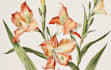 create flat landscape illustration of nature