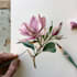 illustrate best botanical illustration