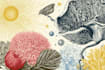 design scientific illustrations, medical figures,