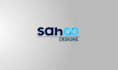create custom 2d logo animation and motion graphics