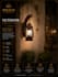 design a professional product catalog and brochure