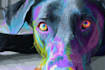 draw a fabulous animal pop art style