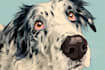 create cute custom vector animal illustration
