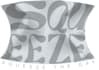 design a custom logo