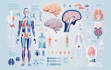 do professional medical illustrations