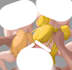 draw nsfw illustration in anime style