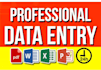do accurate data entry, copy paste, web research and excel work