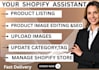 design a professional shopify store