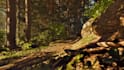 create unreal engine 3d environment, landscape, terrain, and game level