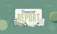 prepare professional ifrs financial statements