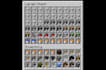 collect any resources for you in minecraft