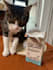 create something authentic as a millennial cat mom