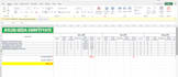 be your expert excel data entry specialist