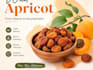 design wild apricot and make your website responsive