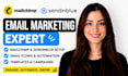 mailchimp email marketing automation sendinblue campaign newsletter template