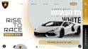 do graphic designing , web designing, uiux designing