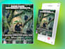 design social media templates and carousels