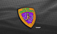 convert image and raster to vector, redraw, recreate tactical badge patch