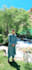 do professional photo editing and background removal