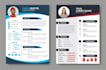 resume optimization CV expert proofreading and translater