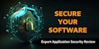 perform professional web application and API security audit