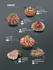 menu, poster, banner and flyer